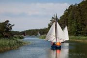 _MG_7936b